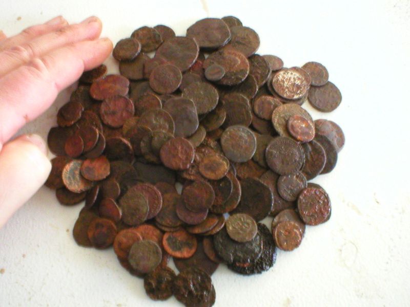 P1010043